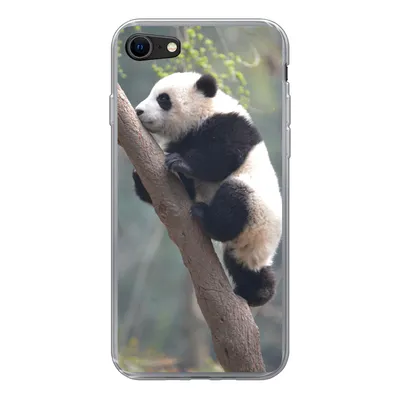 Produktbild von MuchoWow® Handyhülle Schutzhülle Hülle für iPhone 7 Panda - Tier - Baum Silikon Softcase Handy Hülle - Kartenhalter