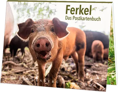 Produktbild von Postkartenbuch Ferkel, Postkartenbücher Ansichtskarte Postkarte, Schweine Tier Tiere