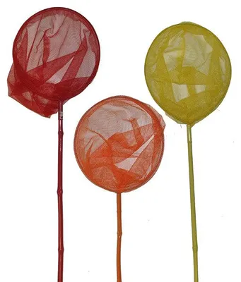 Image de 10 Filet à papillons bambou avec plastique 02236