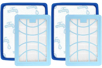 Filter für PowerPro Expert FC9741–FC9745, 2er-Pack