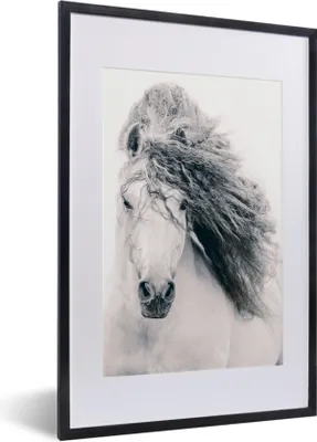 Produktbild von MuchoWow® MuchoWow® Gerahmtes Poster Pferd - Grau - Mähne 40x60 cm - Poster mit zchwarzem Bilderrahmen - Poster in Rahmen