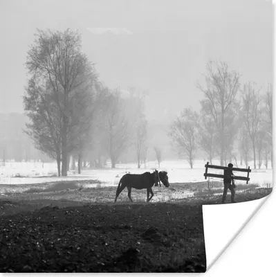 Produktbild von MuchoWow® Poster Pferd - Bauernhof - Schnee 75x75 cm - Wand Dekoration