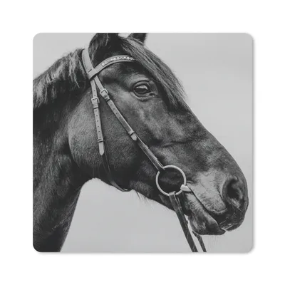 Produktbild von MuchoWow® Mauspad Mousepad Pferd - Halfter - Porträt 20x20 cm - Mousepads - Maus Mat - Pad - Mausunterlage - Desk Mat - Bureauartikeln