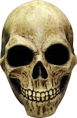 Produktbild von Skull knochenfarben