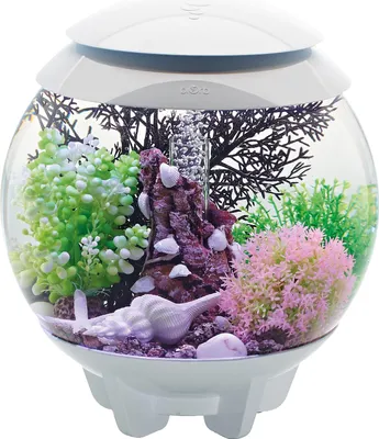 Produktbild von Dekoratives aquarium 15l weiß Oase HALO 15 MCR WHITE