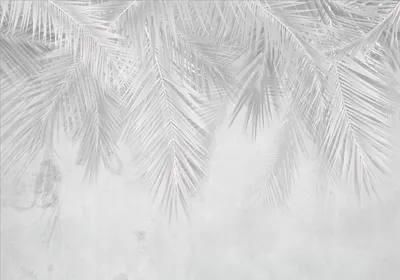 Produktbild von Vlies Fototapete tropische Blätter 450x315 cm Tapeten Wandtapete XXL Palmenblätter Palmen Dschungel weiß b-C-0741-a-a