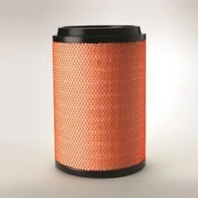 Immagine prodotto di Filtro aria DONALDSON P781740