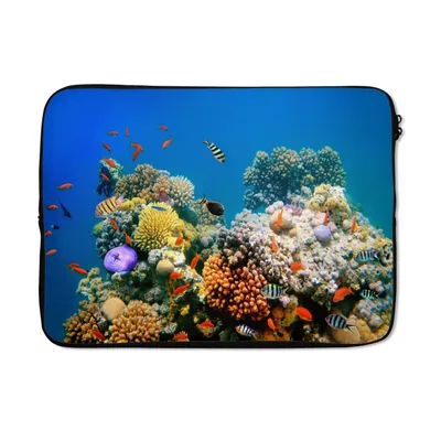 Produktbild von MuchoWow® Laptop Hülle 13 Zoll Tropisch - Fische - Korallen Laptoptasche - Laptophülle - Sleeve - Rundumschutz