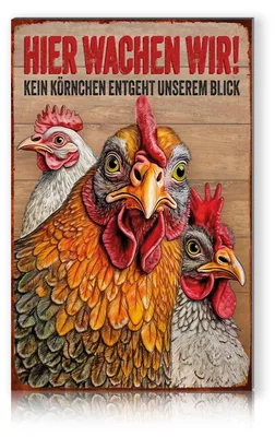 Produktbild von Vintage Deko Schild aus Aluminium 30 x 20 cm – Hühner – Wetterfest & UV-beständig RV002-06