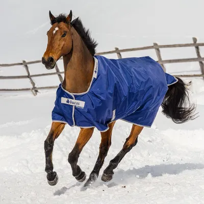 Obrázok produktu pre Bucas Outdoordecke 200g Atlantic Turnout Weidedecke Navy 155