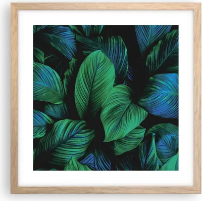 Produktbild von Gerahmtes Poster - Rahmen in heller Eiche - Blätter Pflanzen Exotik - 40x40 cm - Wand Bild - Wanddeko - Wandbilder - Kunstposter - Wandposter - Bilderrahmen - Bilder - Kunstdruck - P2NAC40x40-5066