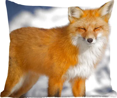Produktbild von MuchoWow® Zierkissen Sofakissen Wohnzimmer Dekokissen 40x40 cm Fuchs - Schnee - Rot - Foto Kissen - Schlafzimmer Dekoration