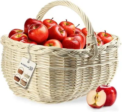 Immagine prodotto di Borsa da picnic resistente con manico - Borsa da giardino per bevande - Borsa da trasporto (bianca, 36x28x27 cm)
