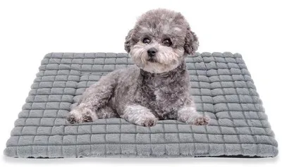 Image de Tapis pour chien antidérapant avec couverture lavable pour animaux