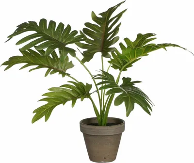 Produktbild von Kunstpflanze Mica Philodendron grün in Topf Stan grau Kunststoff Ø 9 cm H 30 cm grün