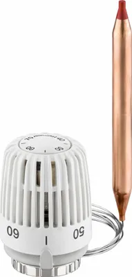 A white thermostat head with a copper sensor probe.