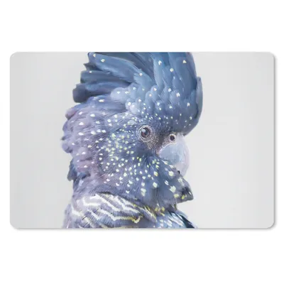 Produktbild von MuchoWow® Mauspad Mousepad Kakadu - Blau - Tiere - Natur 27x18 cm - Mousepads - Maus Mat - Pad - Mausunterlage - Büroartikel - Desk Matten
