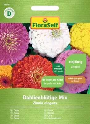 Obrázek produktu pro Zinnia Dahlia Blossom Mixture FloraSelf Seed Odolná semena Květinová semena