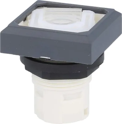 Image de Georg Schlegel Bouton-poussoir avec fenêtre lumineuse, carré, OKTRON Course 3,0 mm - 1 pièce