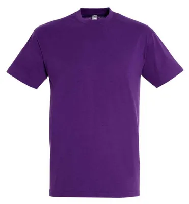 Produktbild von SOLS - "Regent" T-Shirt für Herren/Damen Uni LT2888 (S) (Dunkel-Lila)