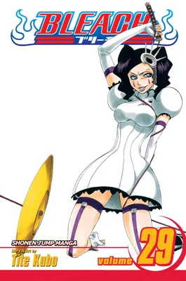 Image de Bleach, Vol. 29