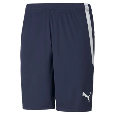 Produktbild von Puma Teamliga Shorts Herren - Marine