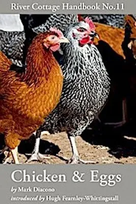 Produktbild von Chicken & Eggs
