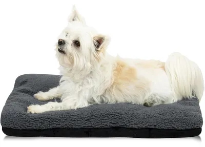 Imagen del producto de Cojín para perro - Cojín para perro - Lavable - 36 x 58 cm - Gris - Antideslizante