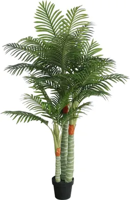 Zdjęcie produktu dla Sztuczna palma na 3 pniach, zielona, 180 cm, PP