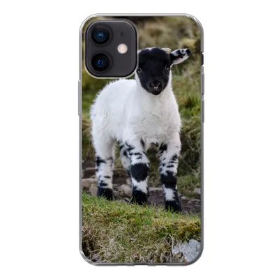 Produktbild von MuchoWow® Handyhülle Schutzhülle Hülle für iPhone 12 Lamm - Schwarz - Weiß - Tupfen Silikon Softcase Handy Hülle - Schutzhülle