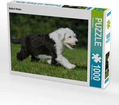 Produktbild von CALVENDO Puzzle Bobtail Welpe | 1000 Teile Lege-Größe 64x48cm Foto-Puzzle für glückliche Stunden
