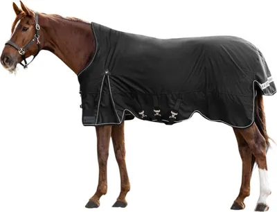 Produktbild von Waldhausen High Neck Outdoordecke Scandic 100g- schwarz, 130