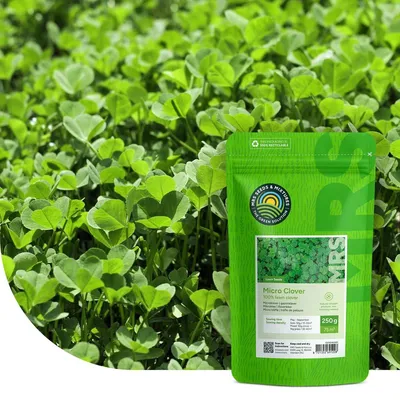 Produktbild von Microklaver Saat (250 g) – Trockenheitsresistente Rasenmischung ohne Moos (für 75 m²)