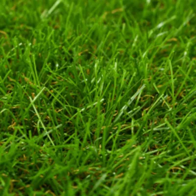 Zdjęcie produktu dla vidaXL Sztuczna trawa 1x15 m/40 mm Zielona