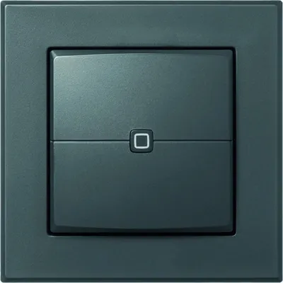 Immagine prodotto di Interruttore a parete HOMEMATIC, doppio, antracite, 1 pz.