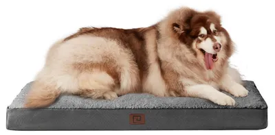Immagine prodotto di Cuccia ortopedica per cani, taglia XXL, 127x91 cm, lavabile, colore grigio