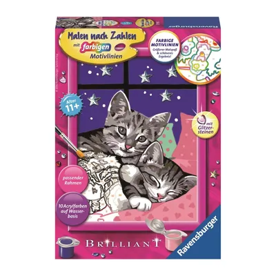 Obrázek produktu pro Ravensburger 4049817654941, 11 rok/roky, Chlapec/děvče, Více, 1 kusů, 220 mm, 160 mm