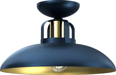Image de Plafonnier 1x60W FELIX MLP7713 Milagro