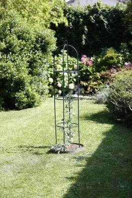 Image de Plante grimpante obélisque h190b40d40cm Ubbink - Ubbink