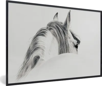 Produktbild von MuchoWow® MuchoWow® Gerahmtes Poster Pferd - Weiß - Tier 90x60 cm - Poster mit zchwarzem Bilderrahmen - Fotorahmen - Foto-Plakat