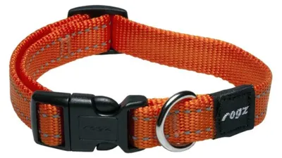 Produktbild von Rogz Classic Hb14-d Hundehalsband Orange S Orange S