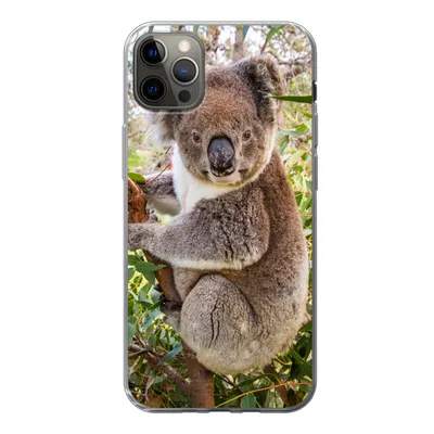 Produktbild von MuchoWow® Handyhülle Schutzhülle Hülle für iPhone 13 Pro Max Koala - Baum - Blätter - Kinder - Jungen - Mädchen Silikon Softcase Handy Hülle - Mobiltelefon