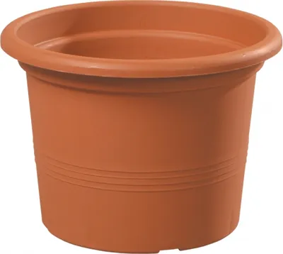 Produktbild von Campanula Blumentopf Terrakotta Durchmesser: 9 cm