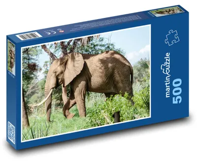 Produktbild von Puzzle 500 Elefant in der Savanne - martinpuzzle