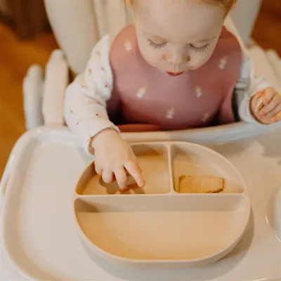 Produktbild von Babyteller Silikon, rosa, mit Saugnapf, geteilt, mikrowellengeeignet, spülmaschinenfest
