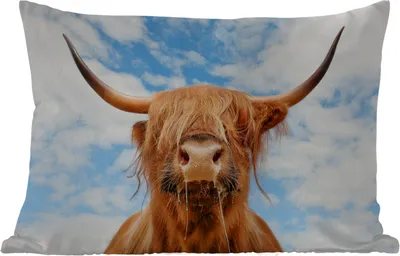 Produktbild von MuchoWow® Outdoor Kissen - Schottisches Hochlandrind - Wolke - Tiere - 60x40 cm - Wetterfest - Lounge Kissen - Zierkissen - Kissen für Innenräume