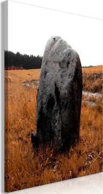 Produktbild von Vlies Leinwandbild - Field Signpost (1 Part) Vertical 40x60 cm Landschaften b-A-0549-b-a