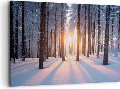 Produktbild von Bild auf Leinwand - Leinwandbild - Wald Winter Schnee - 100x70cm - Wand Bild - Wanddeko - Leinwanddruck - Bilder - Kunstdruck - Wanddekoration - Leinwand bilder - Wandkunst - AA100x70-3629