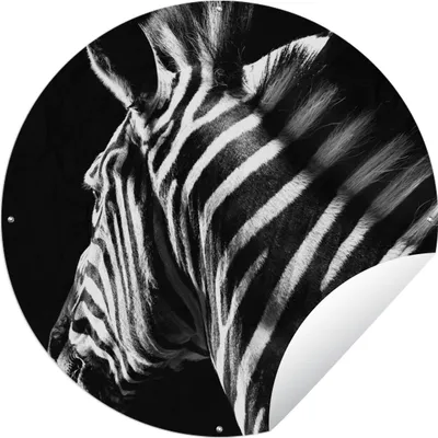 Produktbild von MuchoWow® Gartenposter Outdoor-Poster Rund Zebra - Tier - Weiß - Schwarz und Weiß Ø 60 cm Gartendeko Rundes Poster draußen
