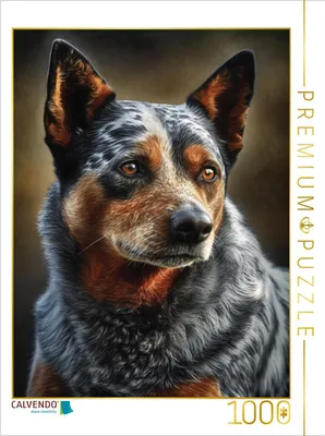 Produktbild von CALVENDO Puzzle Vorsichtig | 1000 Teile Lege-Größe 64x48cm Foto-Puzzle für glückliche Stunden
